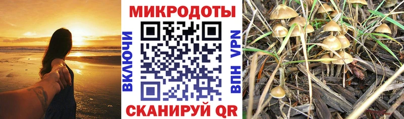 Псилоцибиновые грибы Psilocybine cubensis  наркотики  Всеволожск 