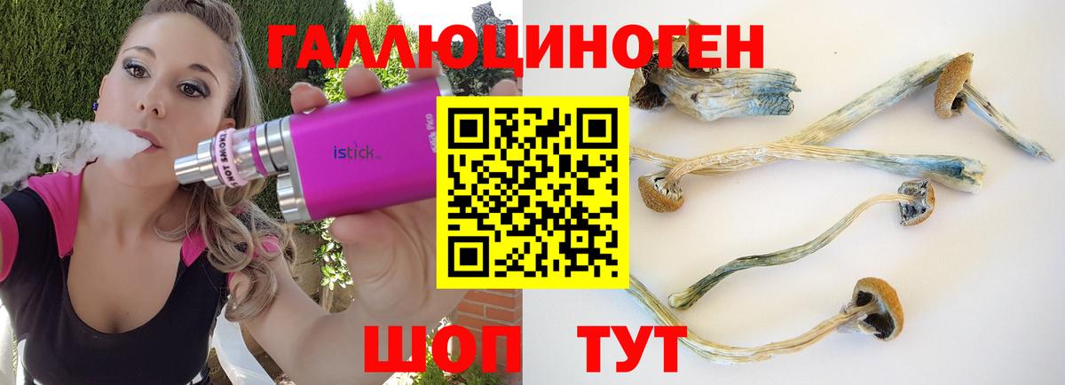 Галлюциногенные грибы Cubensis  сколько стоит  Всеволожск  Псилоцибиновые грибы прущие грибы 