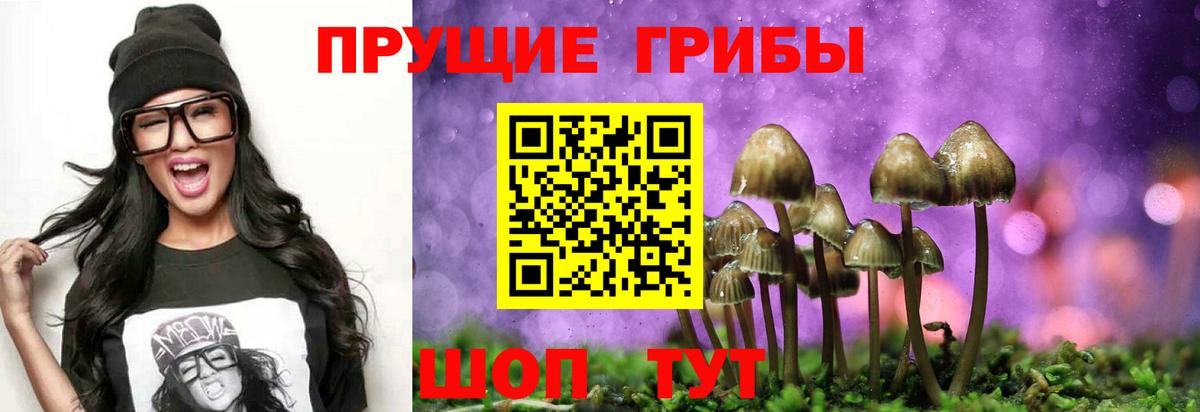 Галлюциногенные грибы мицелий  Вход с VPN  Всеволожск  Псилоцибиновые грибы Psilocybine cubensis 